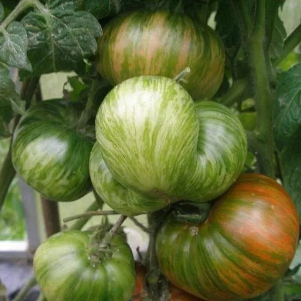 shokoladnyy-liker-6-142974