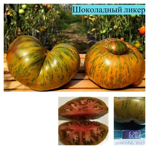 shokoladnyy-liker-7-142974