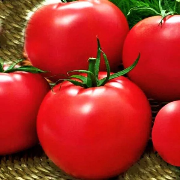 sibirskaya-skazka-2-134313