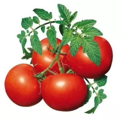 sibirskaya-skazka-3-134313