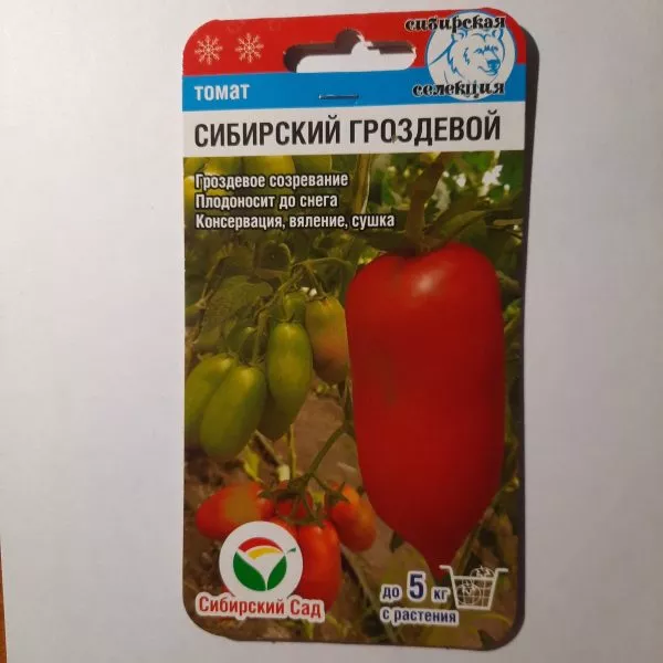 sibirskiy-grozdevoy-1-155287