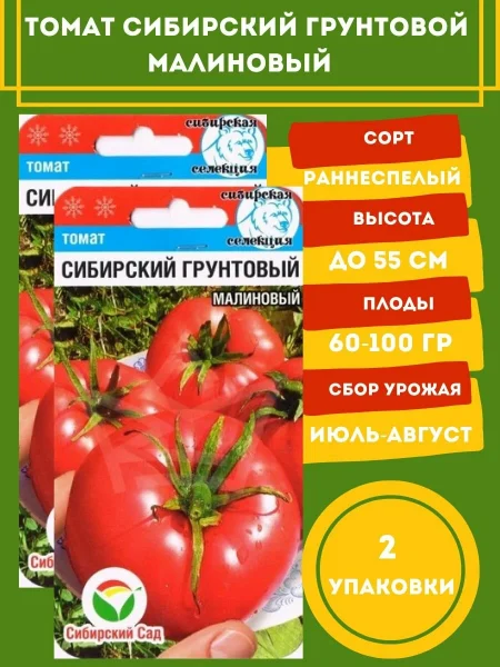 sibirskiy-gruntovoy-malinovyy-2-143034