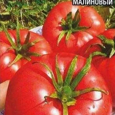 sibirskiy-gruntovoy-malinovyy-3-143034