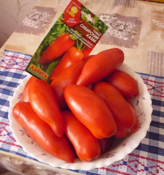 sibirskiy-kazak-main-158018