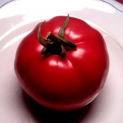 sibirskoe-chudo-5-159386