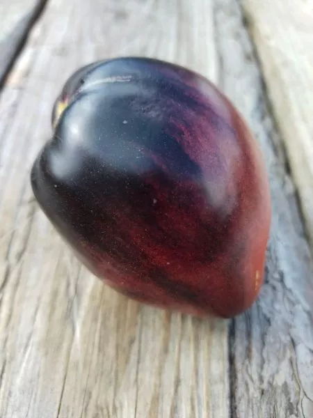 sinie-gory-serzhanta-peppera-6-161922