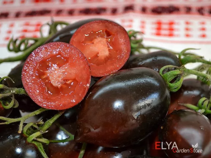 siniy-martsano-1-140600-3