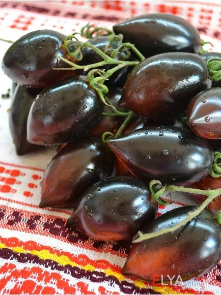 siniy-martsano-2-140600-2