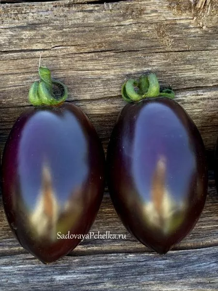 siniy-martsano-2-140600-3