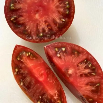 sirenevoe-ozero-lavandovoe-ozero-4-141301