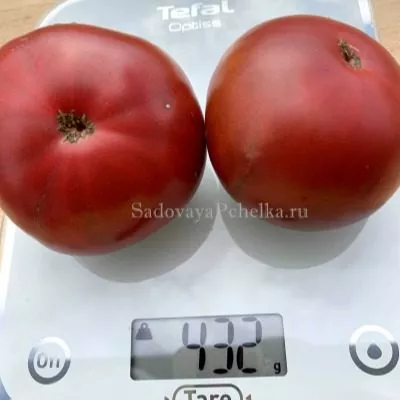 sirenevoe-ozero-lavandovoe-ozero-5-141301