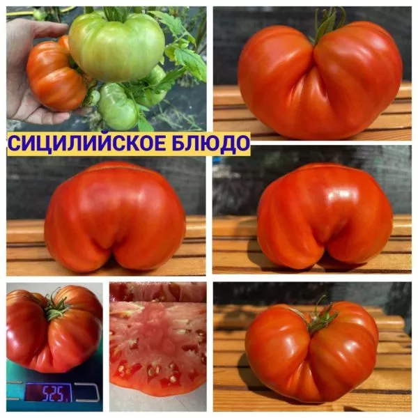 sitsiliyskoe-blyudo-4-137250