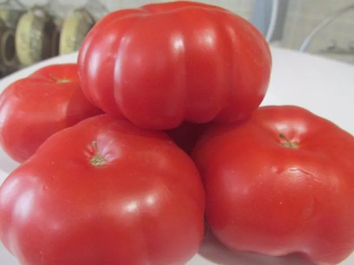 sitsiliyskoe-blyudo-5-137250