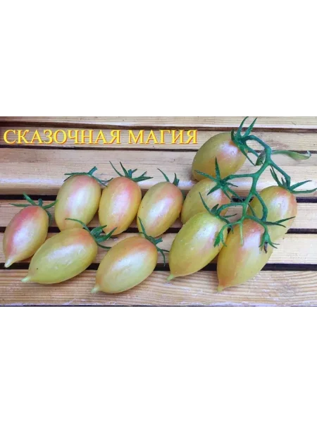 skazochnaya-magiya-1-159016