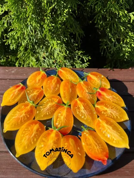 skazochnaya-magiya-10-159016