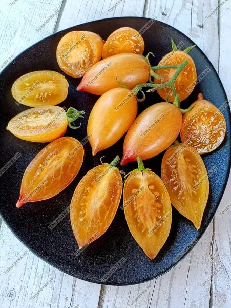 skazochnaya-magiya-4-159016