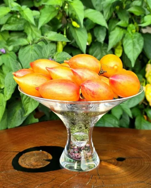 skazochnaya-magiya-main-159016