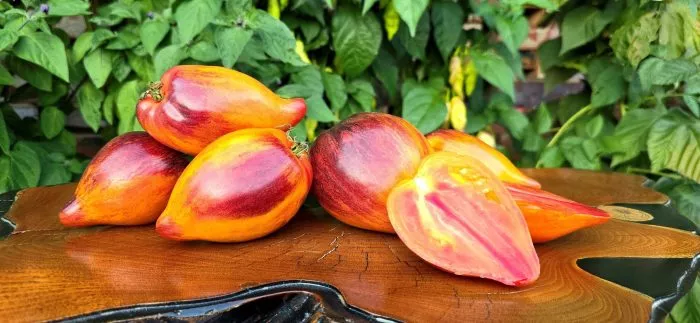 sladkaya-karamel-sofii-8-153953