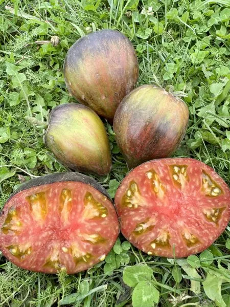 sladkaya-karamel-sofii-9-153953