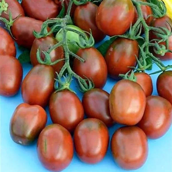 sladkaya-slivka-3-151534