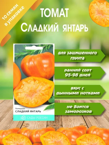 sladkiy-yantar-2-166073