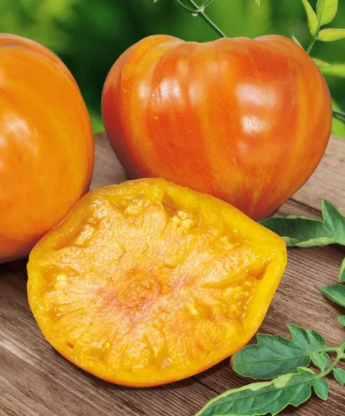 sladkiy-yantar-main-166073