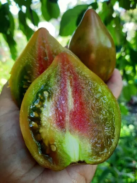 sladkoe-tryufelnoe-serdtse-3-159179