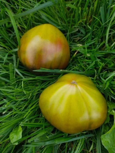 sladkoe-tryufelnoe-serdtse-5-159179