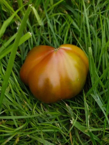 sladkoe-tryufelnoe-serdtse-6-159179