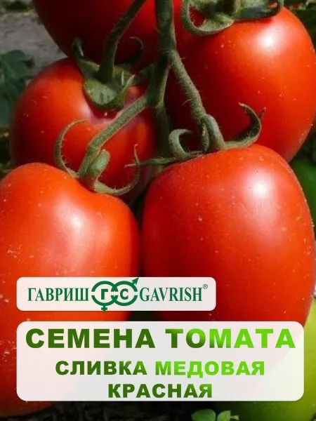 slivka-medovaya-3-155551