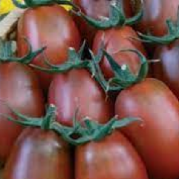 slivka-shokoladnaya-2-139523