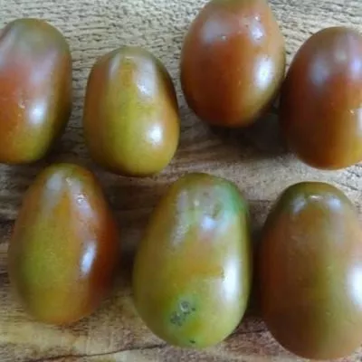 slivka-shokoladnaya-4-139523