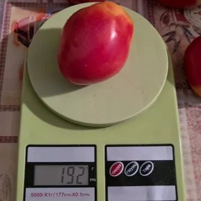 sokolinyy-klyuv-4-150530