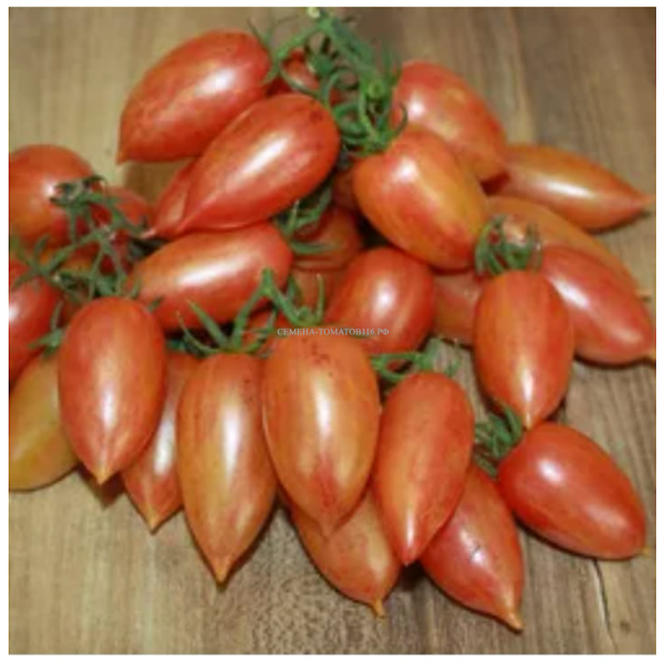 sosulka-krasnaya-3-143167