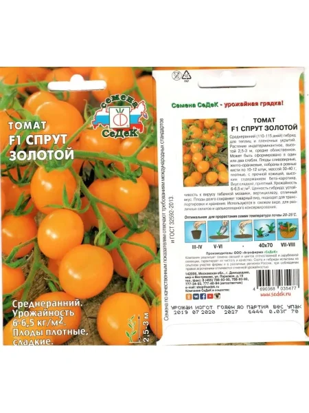 sprut-zolotoy-1-140622-1