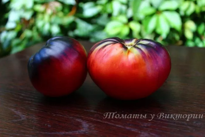 starshiy-serzhant-1-161880