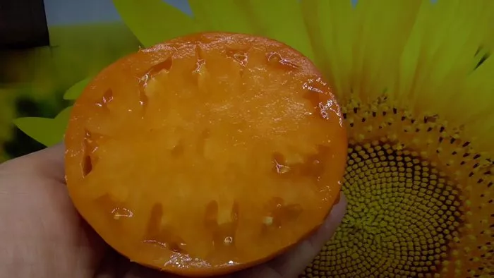 svadba-v-nebraska-2-151139