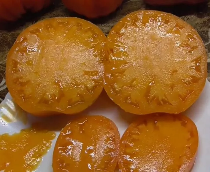 svadba-v-nebraska-6-151139