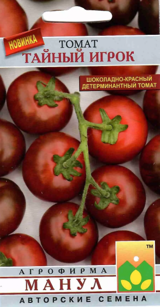 taynyy-igrok-1-156900