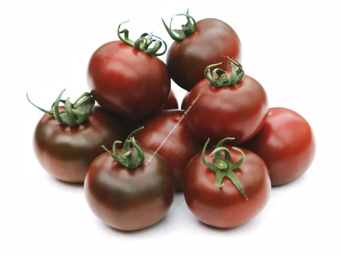 taynyy-igrok-3-156900