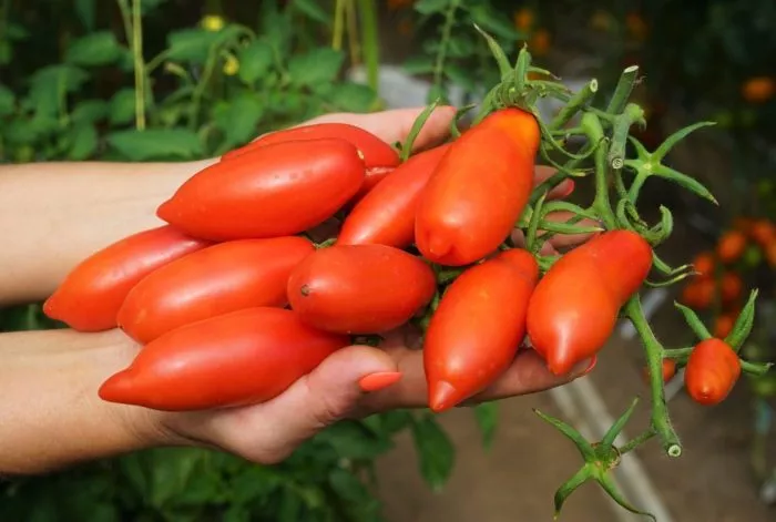 tegusigalpa-1-152581