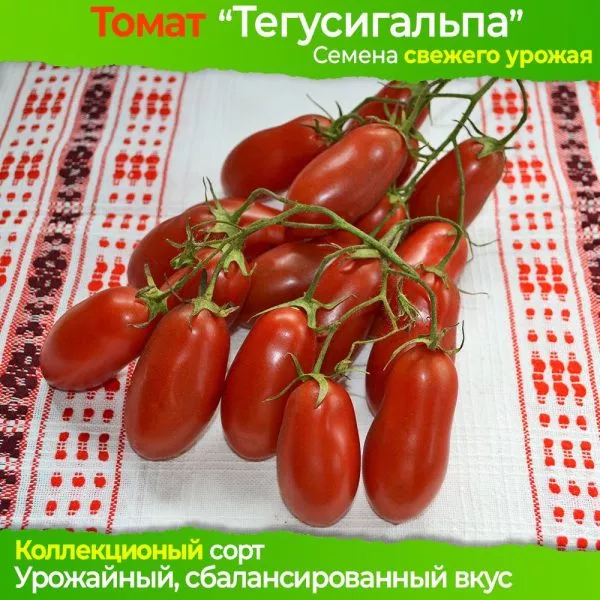 tegusigalpa-11-152581