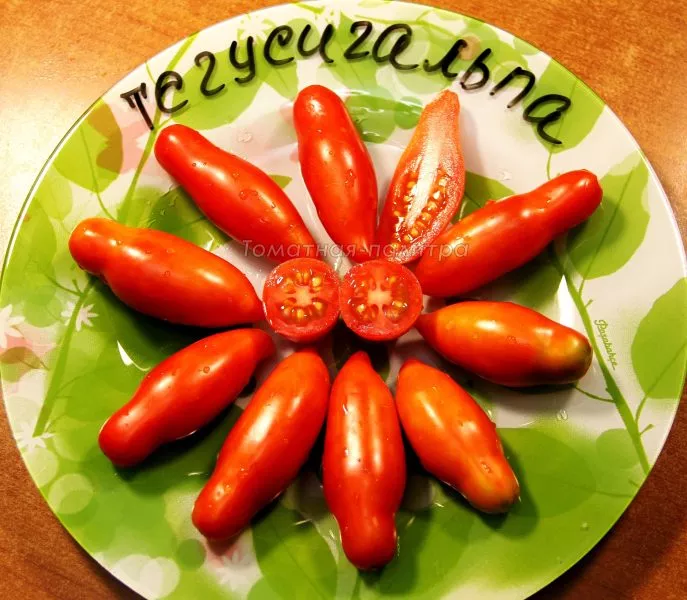 tegusigalpa-3-152581