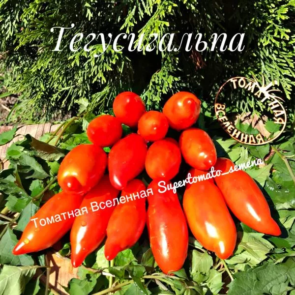 tegusigalpa-7-152581