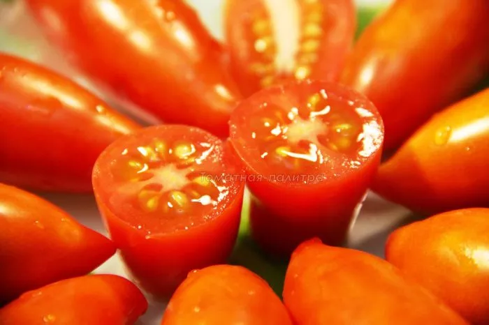 tegusigalpa-8-152581