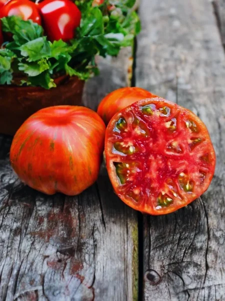 temnye-polosy-sigelya-7-168452