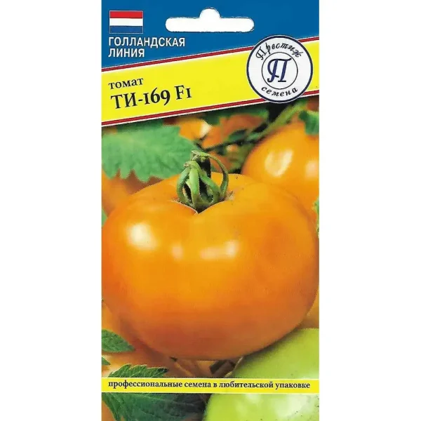 ti-169-3-139567