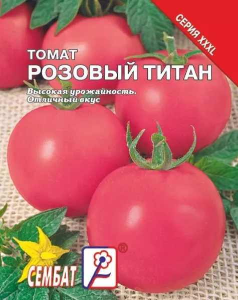 titan-rozovyy-2-163694