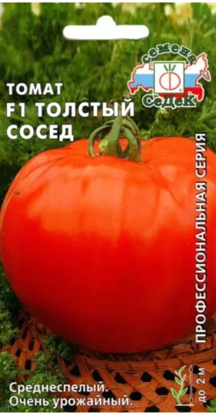 tolstyy-sosed-2-137402