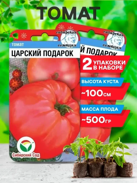 tsarskiy-podarok-3-143135